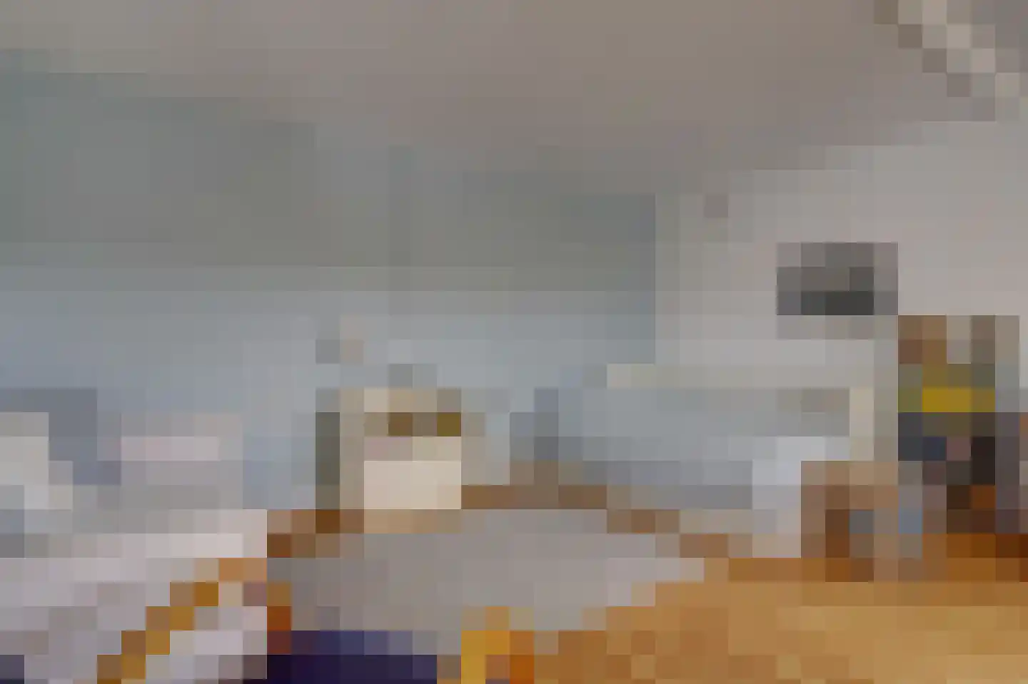 Meije 28 Bodegraven thumbnail 84