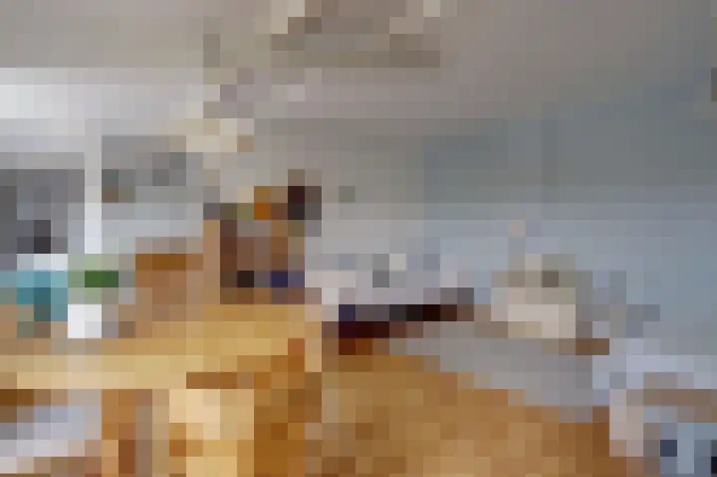 Meije 28 Bodegraven thumbnail 85