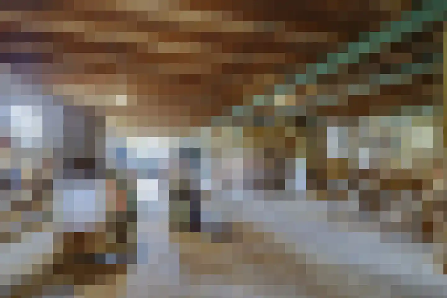 Meije 28 Bodegraven thumbnail 98