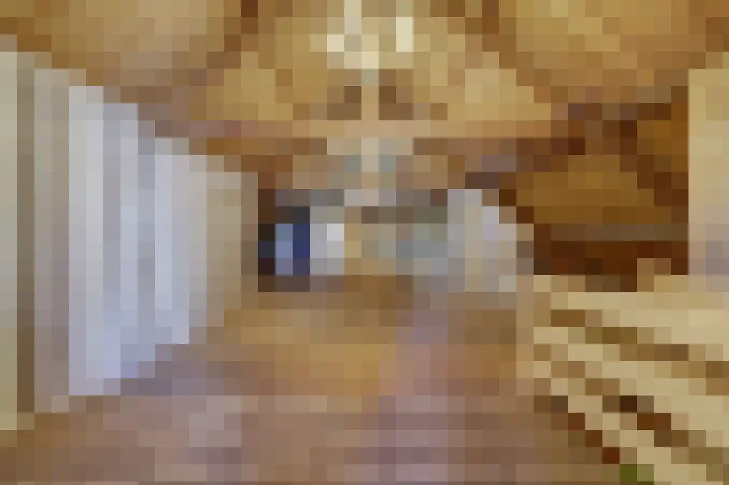 Meije 28 Bodegraven thumbnail 99