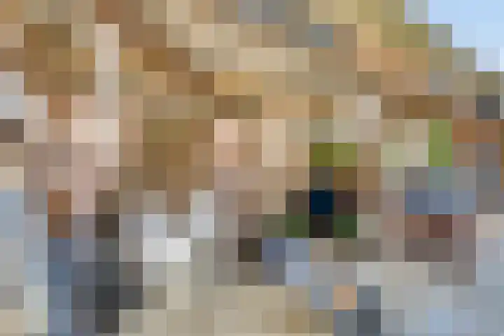 Meije 322 Nieuwkoop thumbnail 11