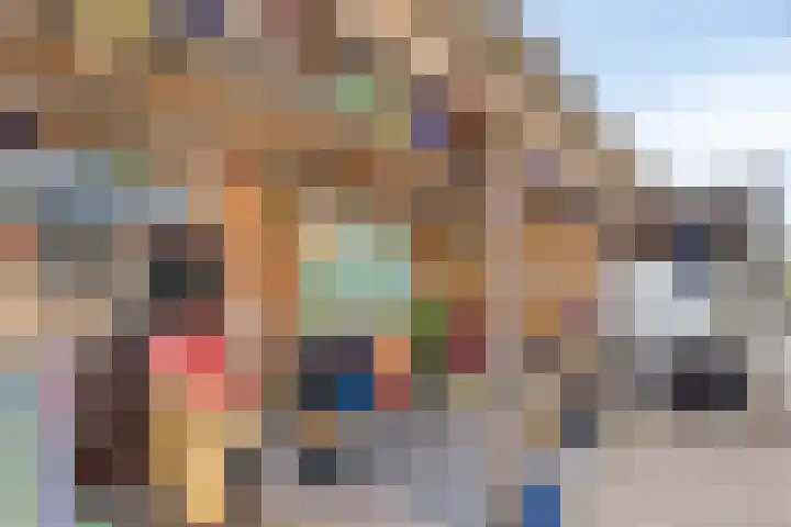 Meije 322 Nieuwkoop thumbnail 12