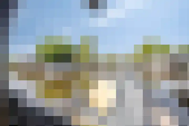 Meije 322 Nieuwkoop thumbnail 35
