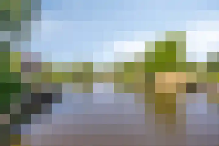 Meije 322 Nieuwkoop thumbnail 38