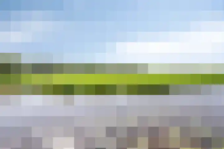 Meije 322 Nieuwkoop thumbnail 39