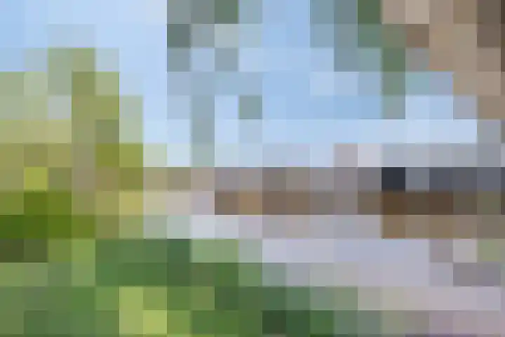 Meije 322 Nieuwkoop thumbnail 4