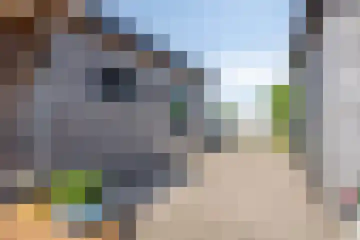 Meije 322 Nieuwkoop thumbnail 40