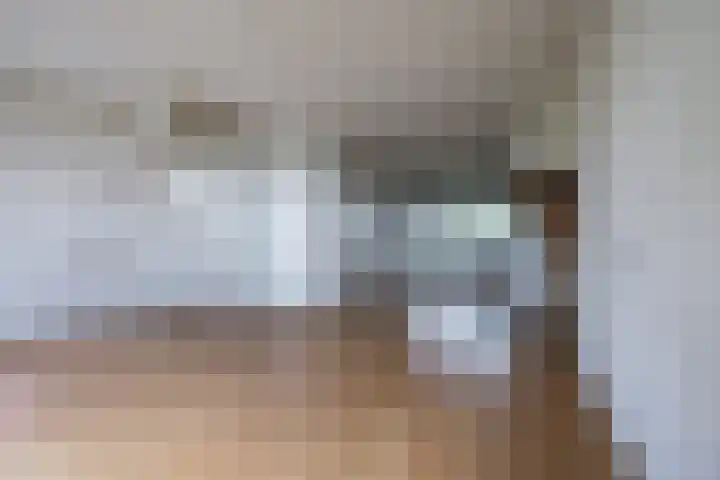 Meije 50 Bodegraven thumbnail 10