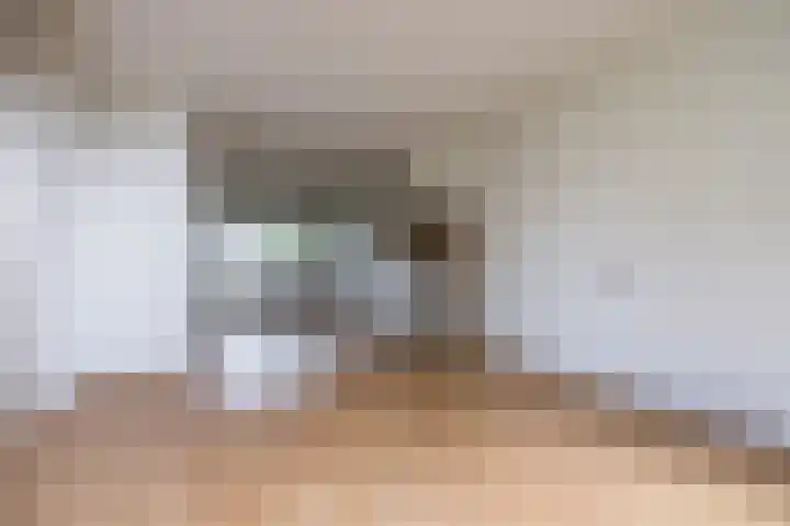 Meije 50 Bodegraven thumbnail 11