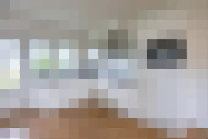 Meije 50 Bodegraven thumbnail 12