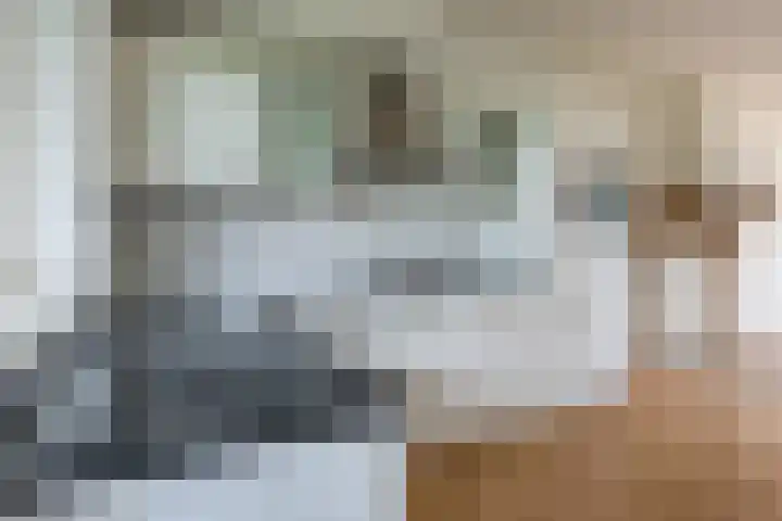 Meije 50 Bodegraven thumbnail 14