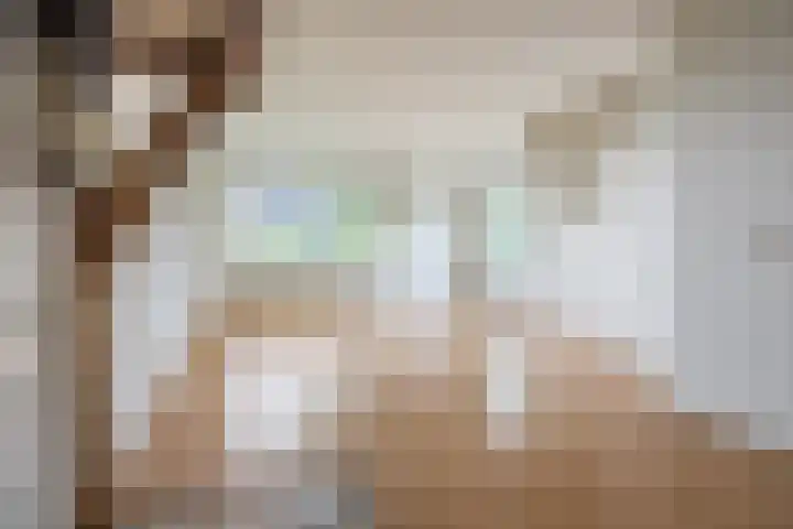 Meije 50 Bodegraven thumbnail 15