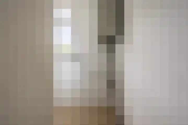 Meije 50 Bodegraven thumbnail 16