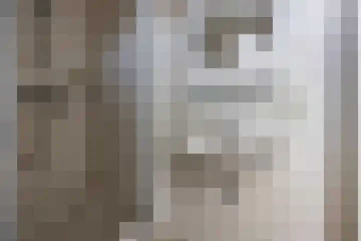 Meije 50 Bodegraven thumbnail 17