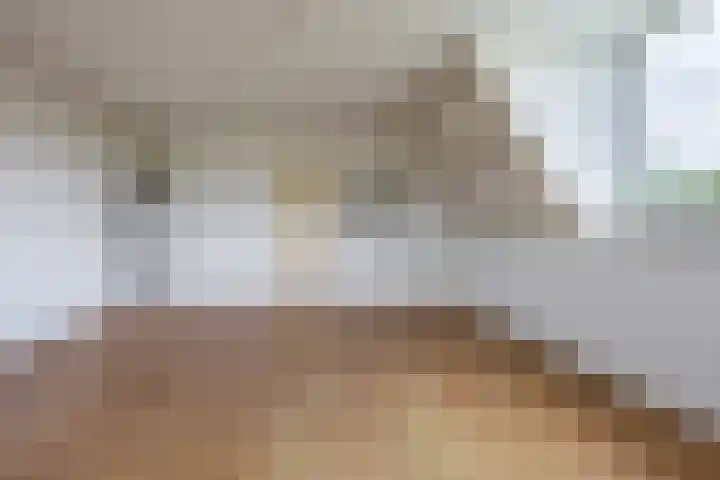Meije 50 Bodegraven thumbnail 25