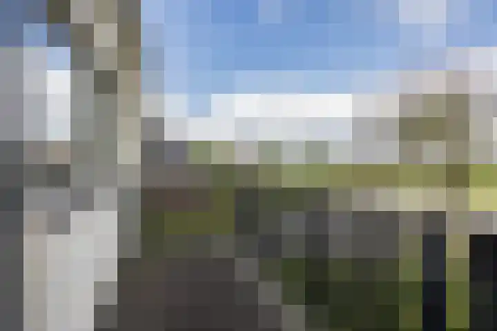 Meije 50 Bodegraven thumbnail 27