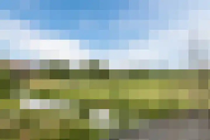 Meije 50 Bodegraven thumbnail 29