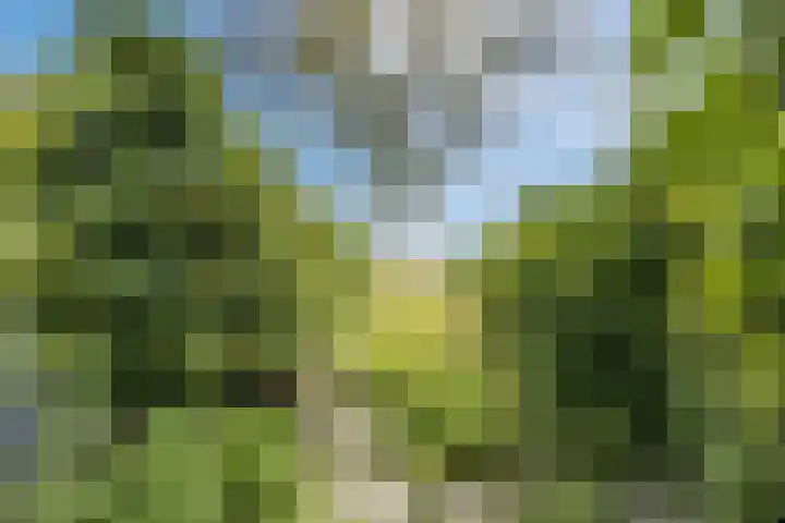 Meije 50 Bodegraven thumbnail 31