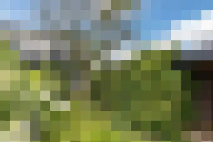 Meije 50 Bodegraven thumbnail 32
