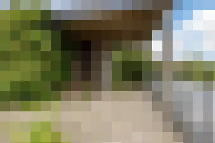Meije 50 Bodegraven thumbnail 33