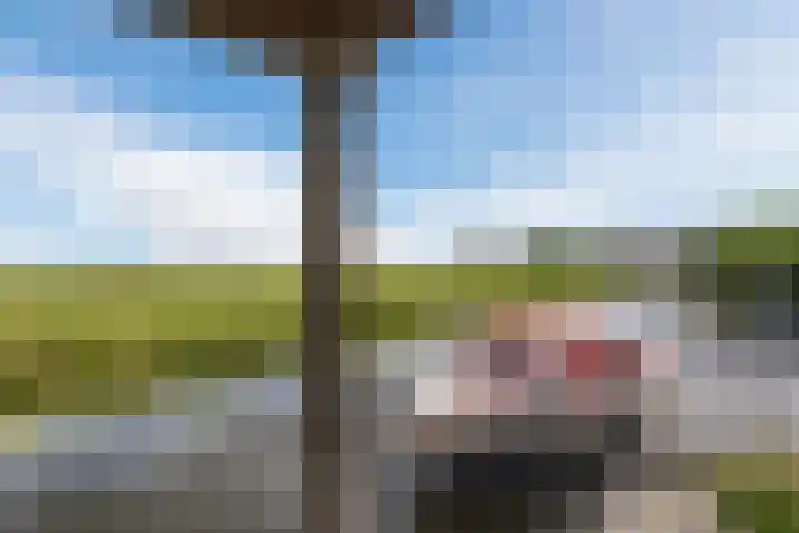 Meije 50 Bodegraven thumbnail 34