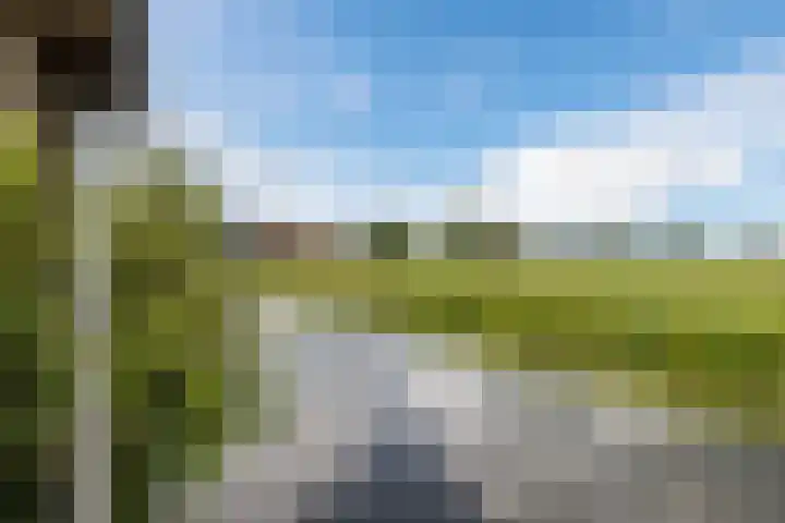 Meije 50 Bodegraven thumbnail 35