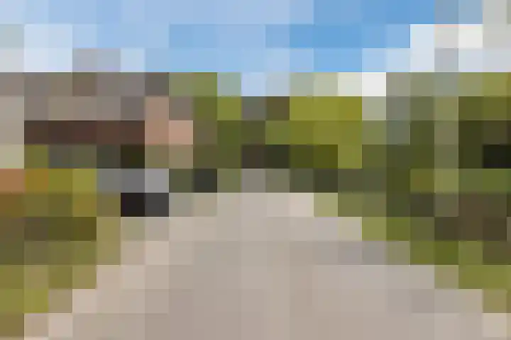 Meije 50 Bodegraven thumbnail 36