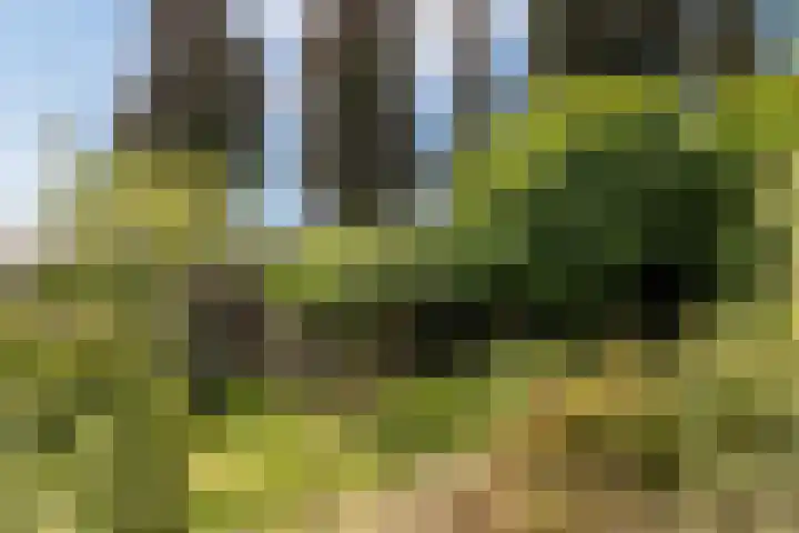Meije 50 Bodegraven thumbnail 37