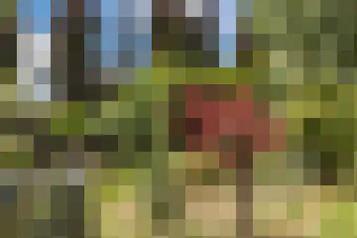 Meije 50 Bodegraven thumbnail 38