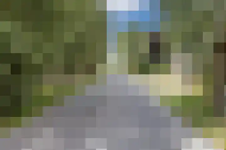 Meije 50 Bodegraven thumbnail 39