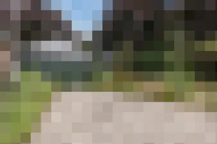 Meije 50 Bodegraven thumbnail 40