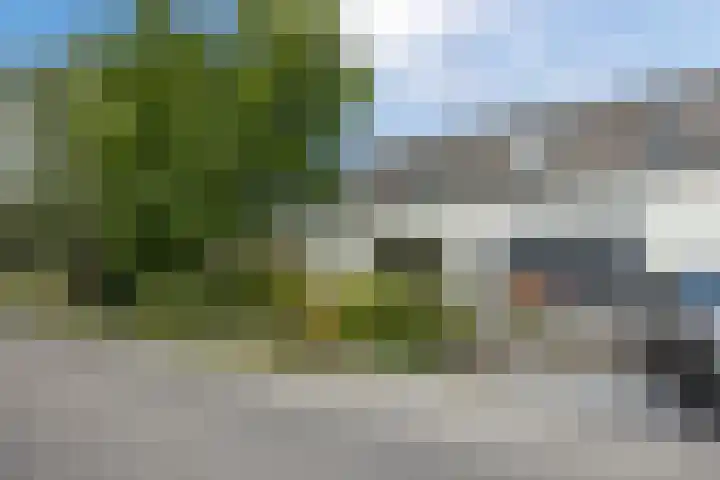 Meije 50 Bodegraven thumbnail 6
