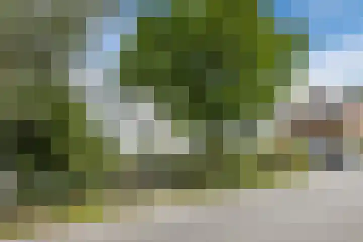 Meije 50 Bodegraven thumbnail 7