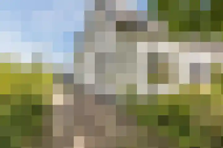 Meije 50 Bodegraven thumbnail 8