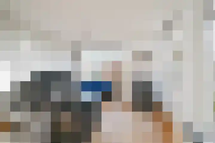 Meije 80 Bodegraven thumbnail 11