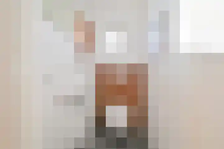Meije 80 Bodegraven thumbnail 13