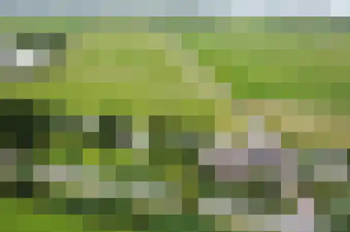 Meije 80 Bodegraven thumbnail 26