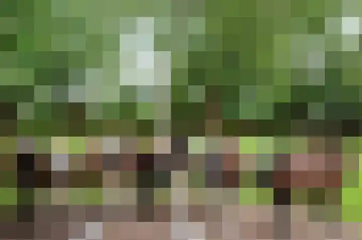 Meije 80 Bodegraven thumbnail 28