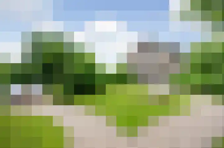 Meije 80 Bodegraven thumbnail 29