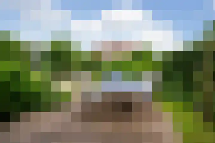 Meije 80 Bodegraven thumbnail 30