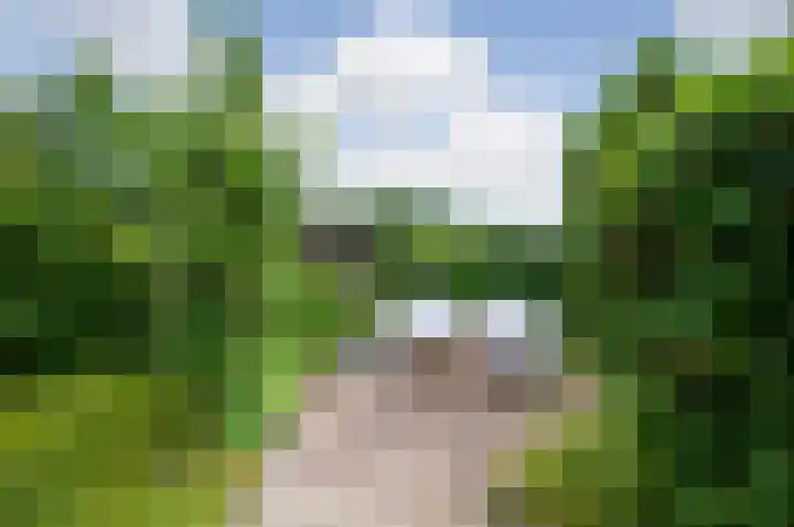 Meije 80 Bodegraven thumbnail 31