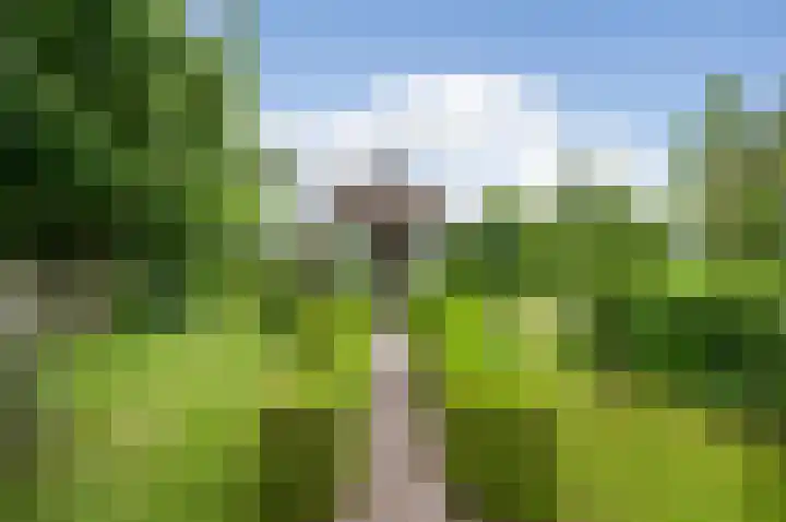 Meije 80 Bodegraven thumbnail 32