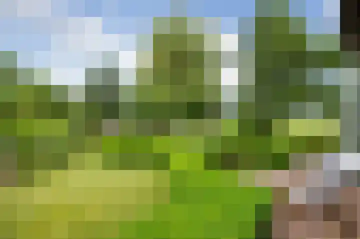 Meije 80 Bodegraven thumbnail 33