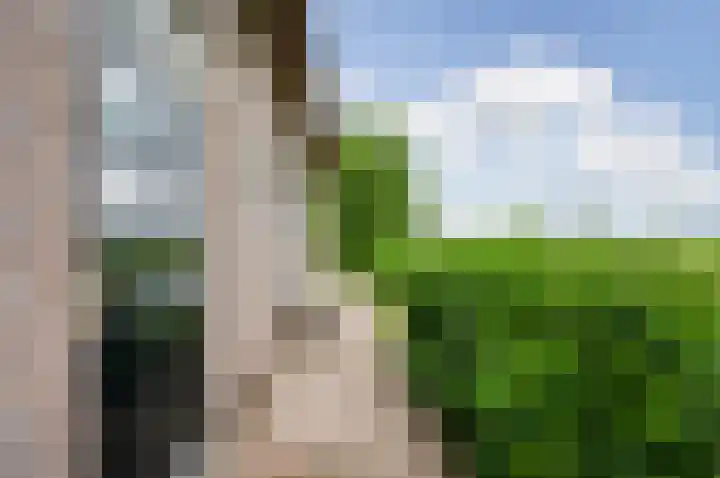 Meije 80 Bodegraven thumbnail 35