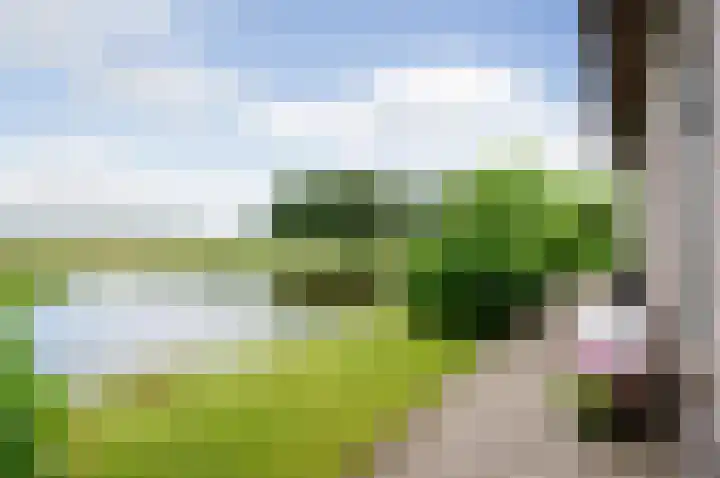 Meije 80 Bodegraven thumbnail 36