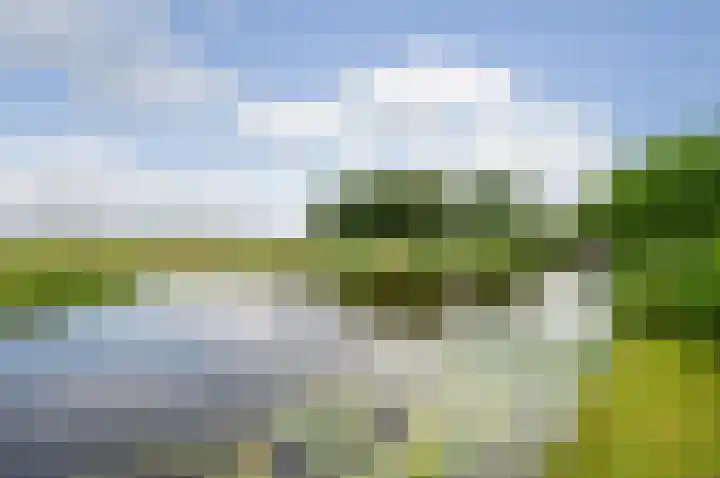 Meije 80 Bodegraven thumbnail 37