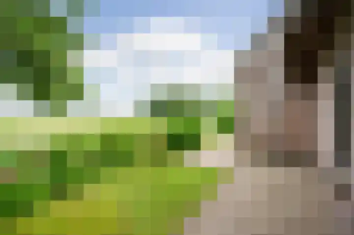Meije 80 Bodegraven thumbnail 39