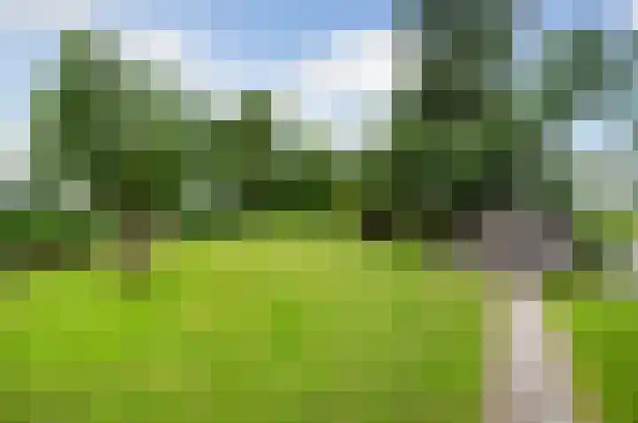 Meije 80 Bodegraven thumbnail 40