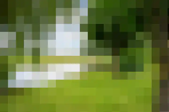 Meije 80 Bodegraven thumbnail 41