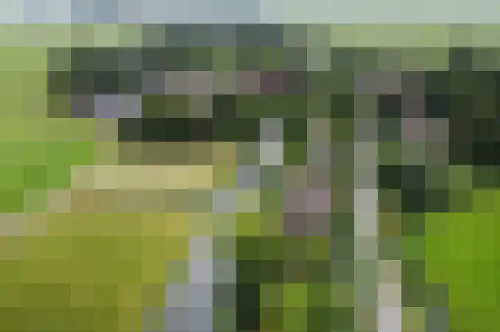 Meije 80 Bodegraven thumbnail 43